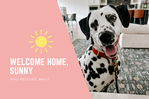 Welcome Home Sunny