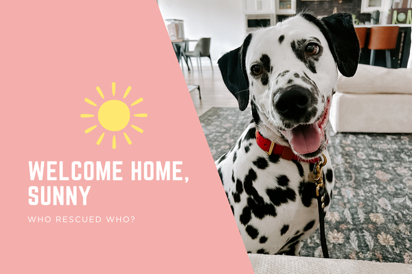 Welcome Home Sunny