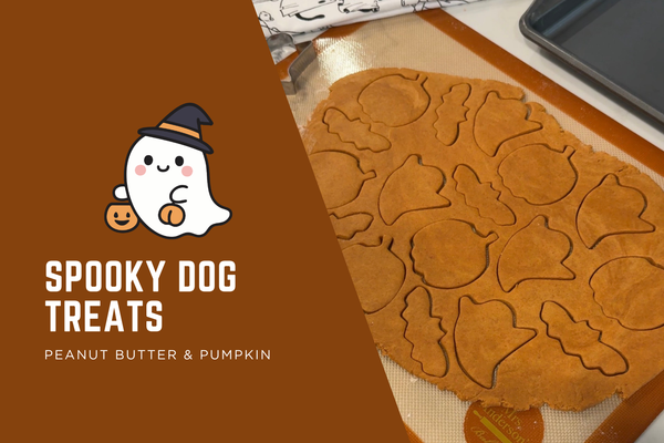 Spooky Peanut Butter Pumpkin Dog Treats