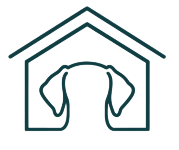 Introducing Homebound Hound