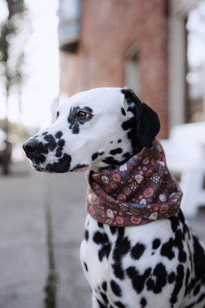 Halloween Scarves