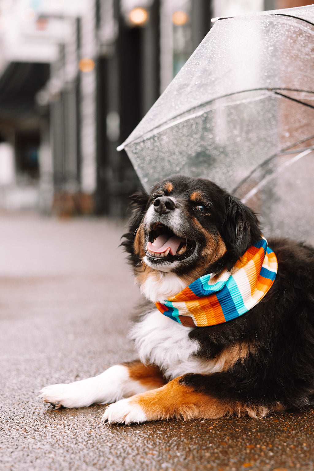 Sun Chaser Waffle Scarf