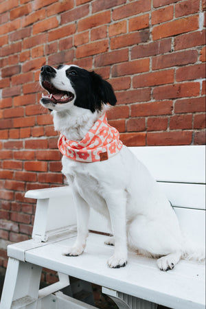 Strawberry Bloom Waffle Scarf