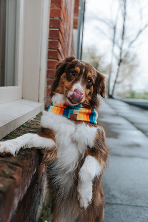 Sun Chaser Waffle Scarf