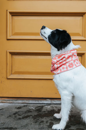 Strawberry Bloom Waffle Scarf