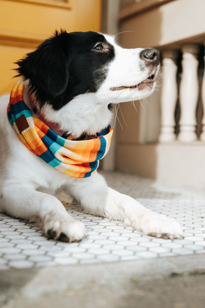 Sun Chaser Waffle Scarf