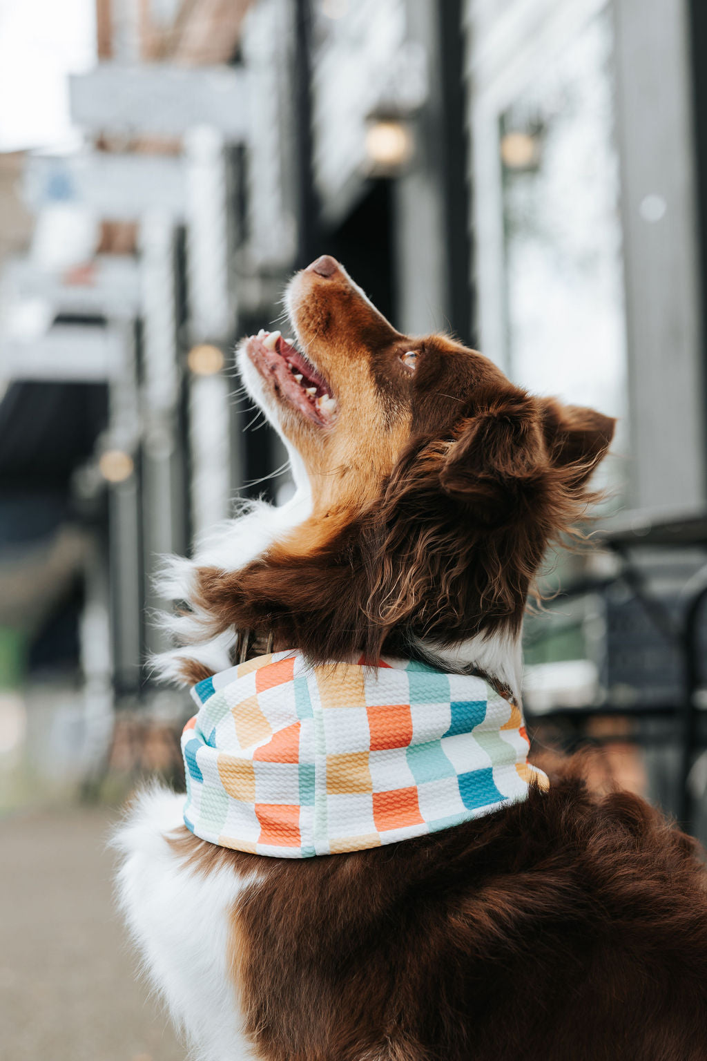 Bright Side Waffle Scarf