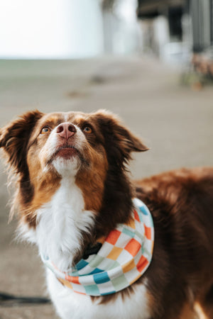 Bright Side Waffle Scarf