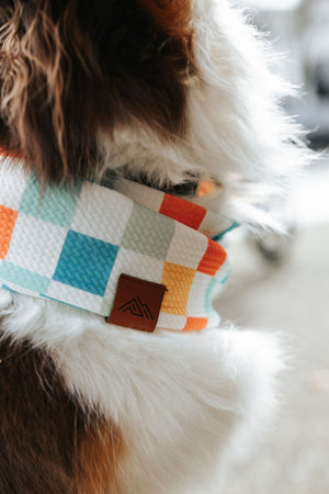 Bright Side Waffle Scarf