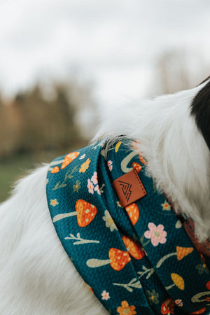 Mushroom Meadows Waffle Scarf