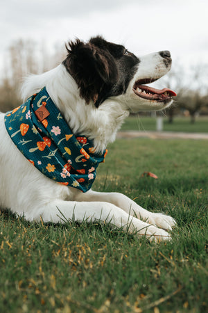 Mushroom Meadows Waffle Scarf