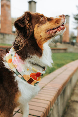 Honey Bloom Waffle Scarf