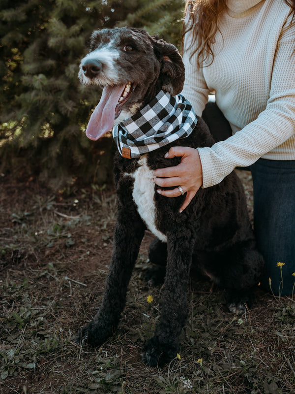 Zane Dog Scarf