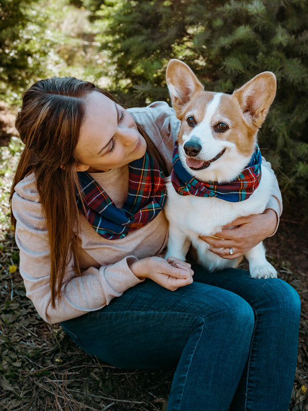 Orion Dog Scarf