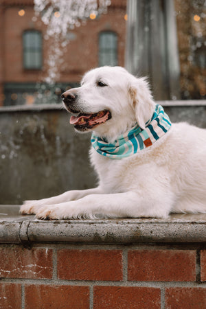 Tidal Wave Waffle Scarf