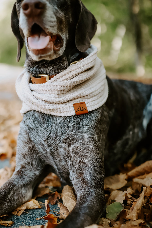 Oatmeal Waffle Knit Scarf