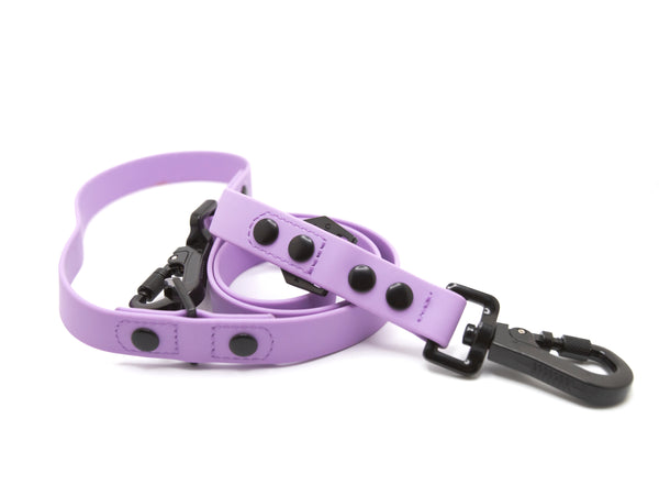 Odyssey Leash | Lilac