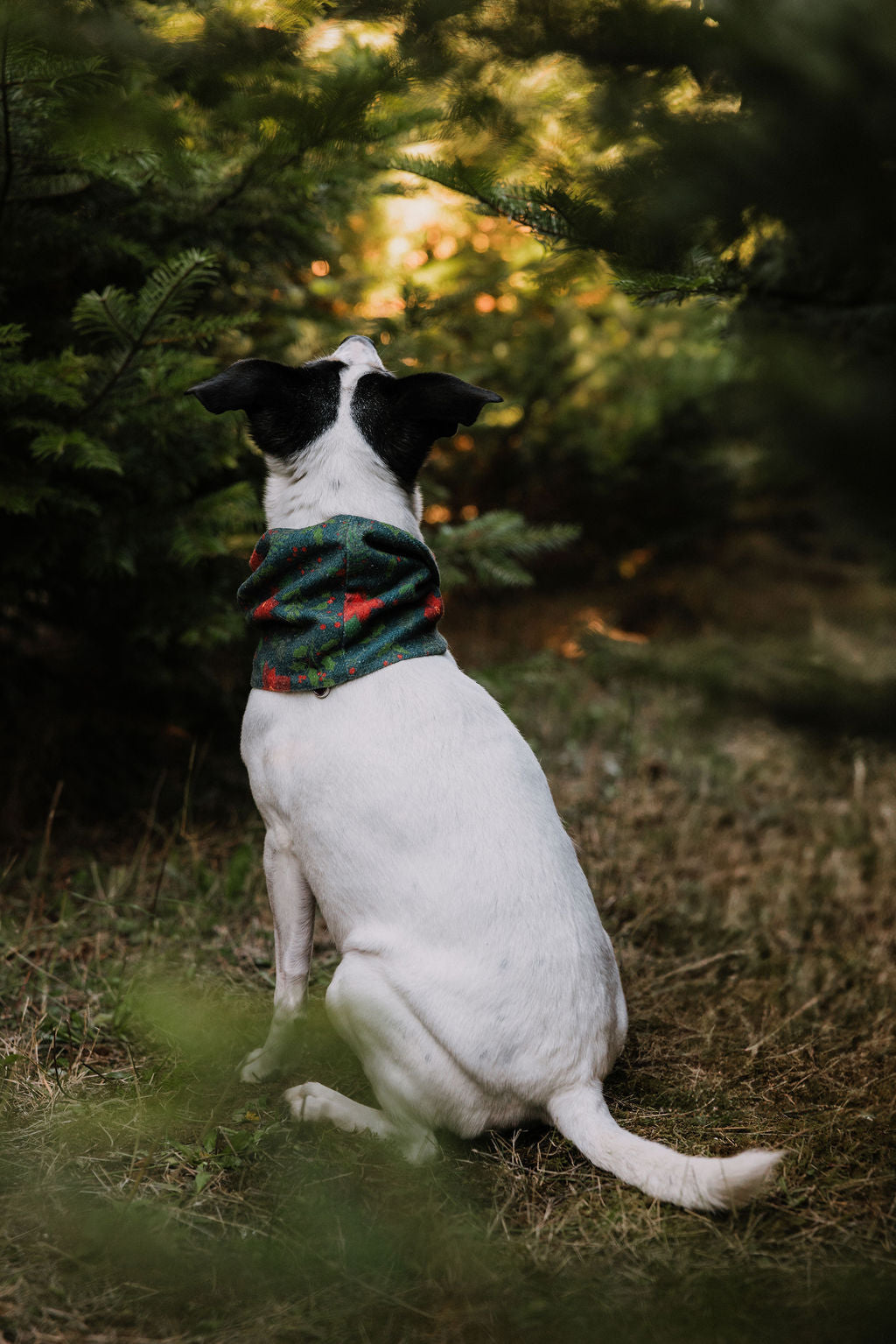 Laurel Scarf