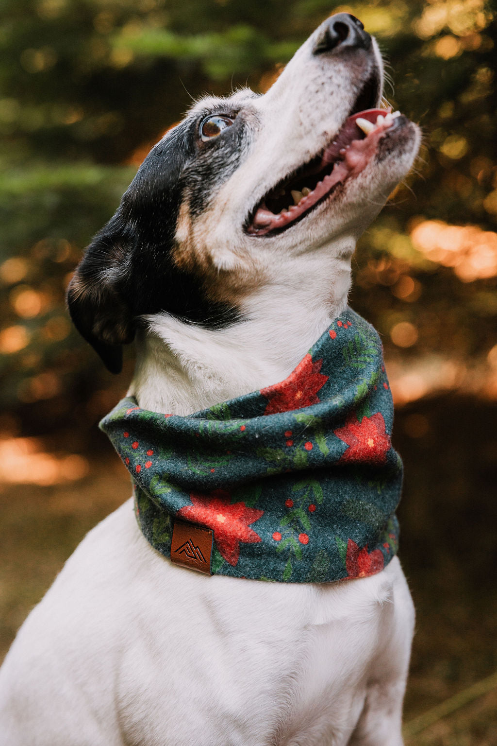 Laurel Scarf
