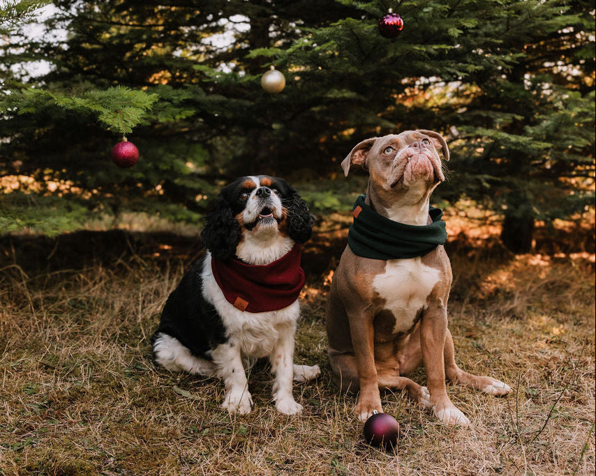Cranberry Waffle Scarf