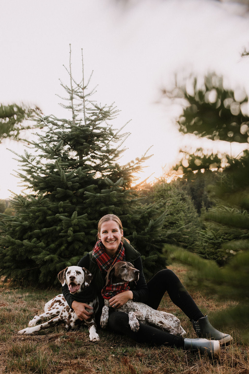 Yuletide Scarf