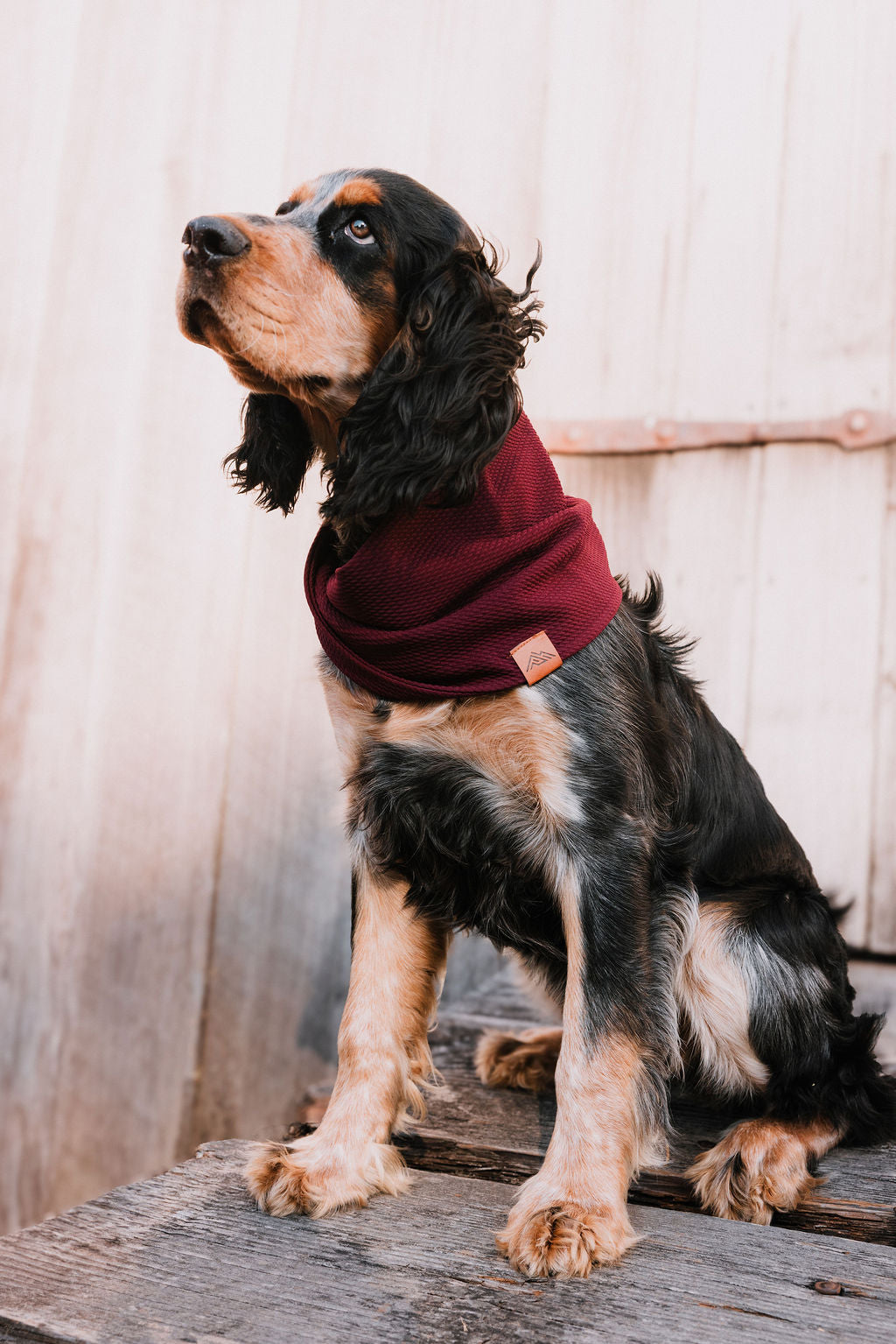 Wine Waffle Scarf