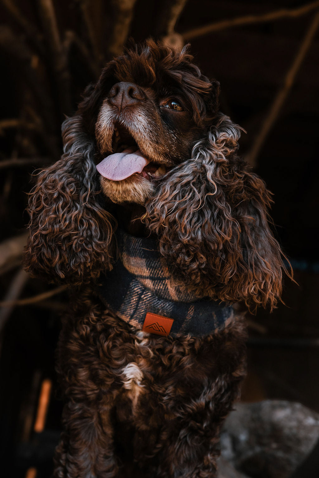 Milo Scarf