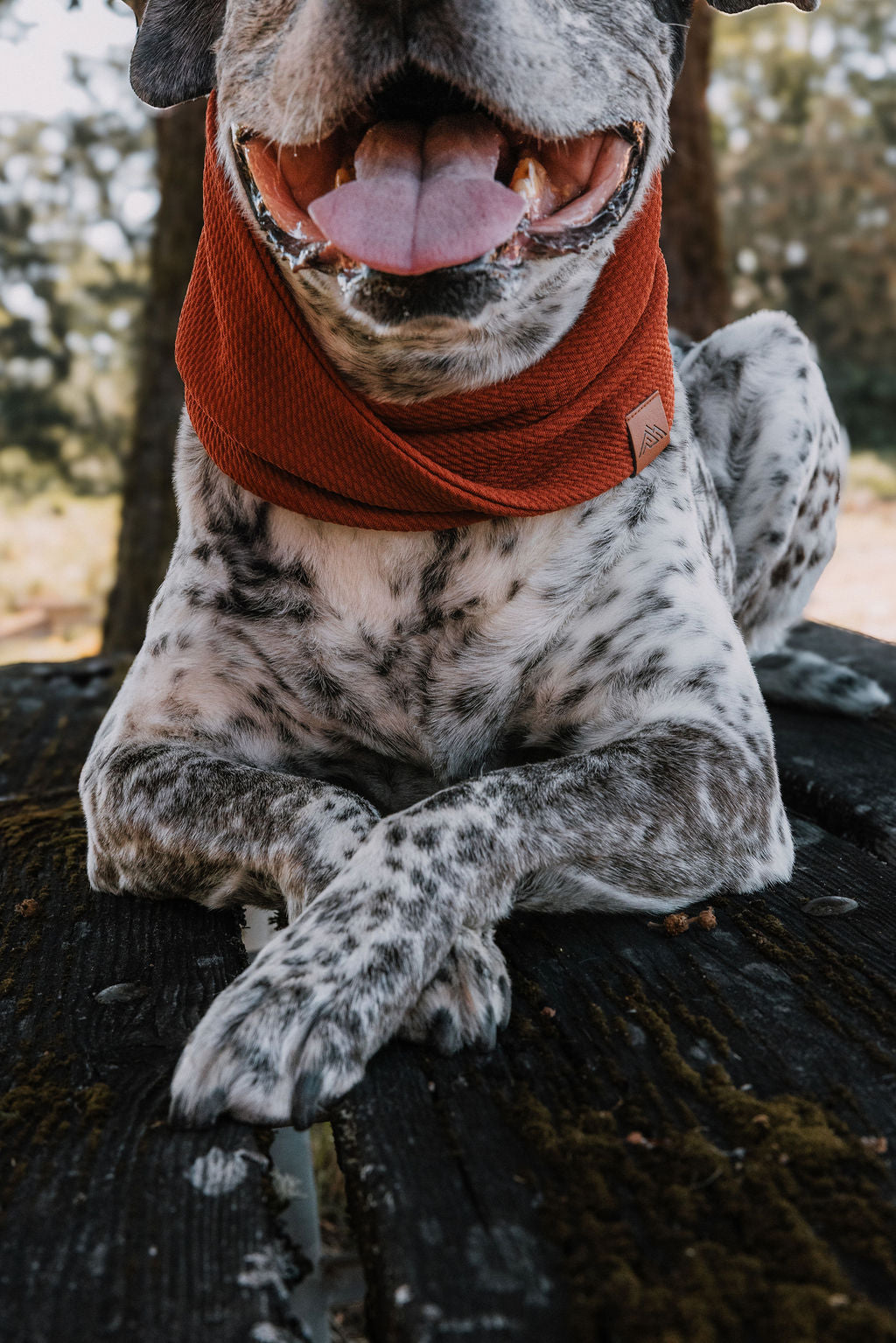 Ginger Waffle Scarf
