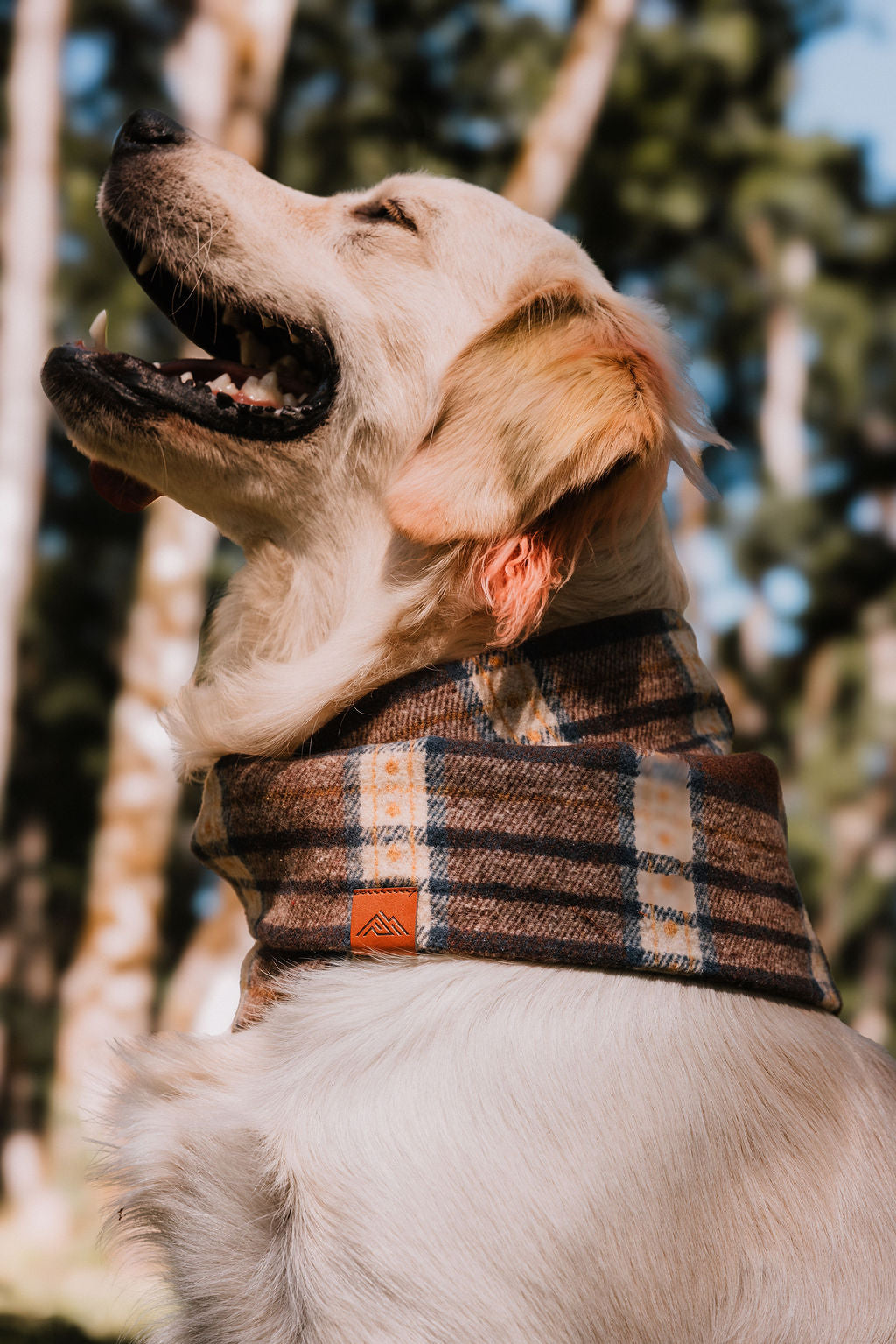 Maple Scarf