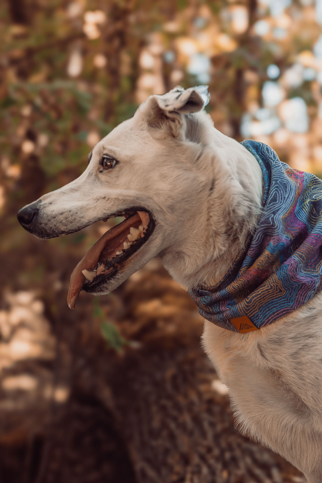 Summit Lines Scarf | Cascades