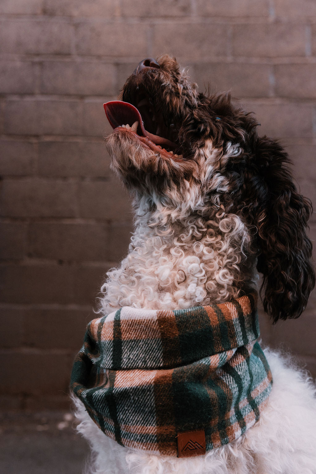 Briar Scarf