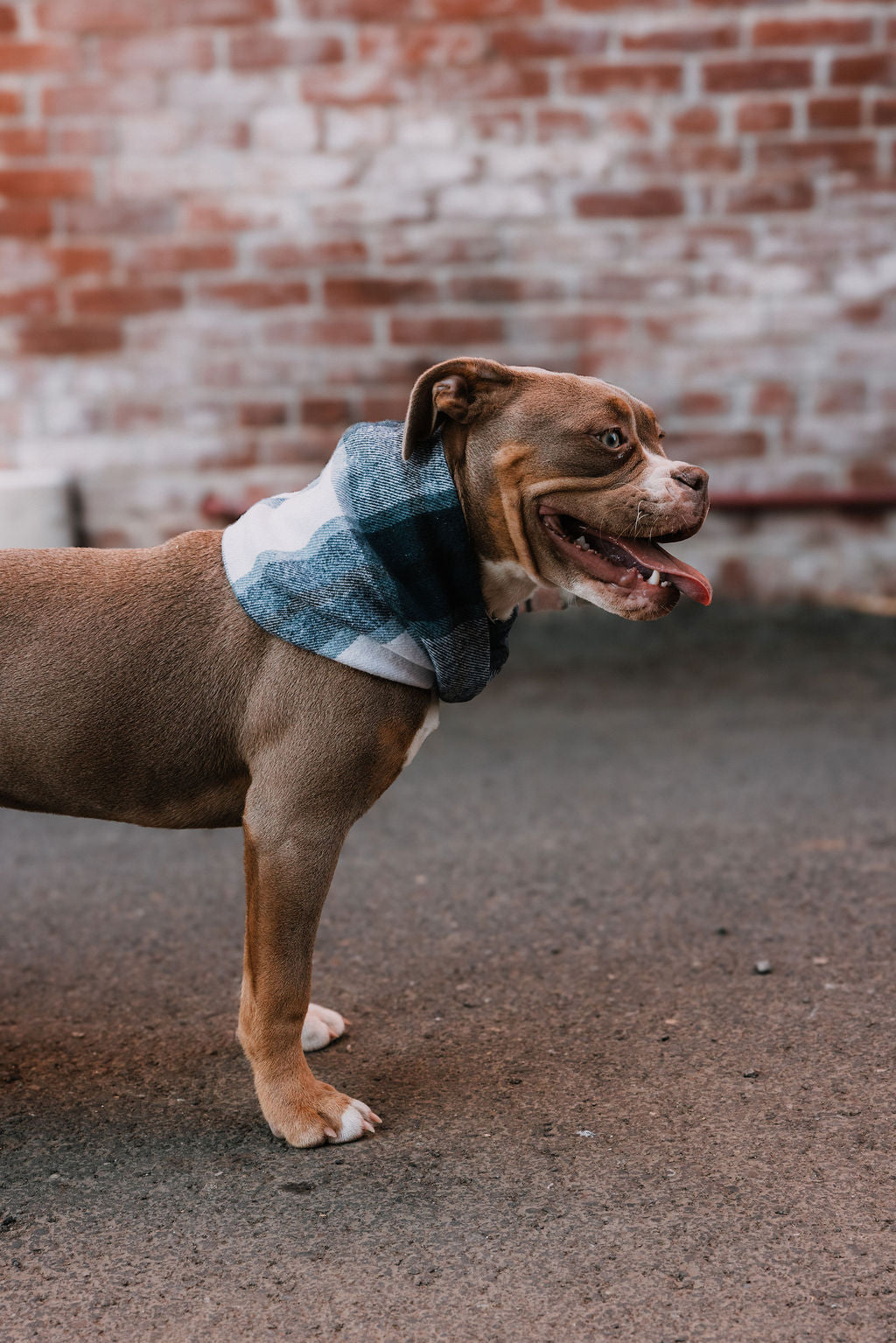 Onyx Scarf