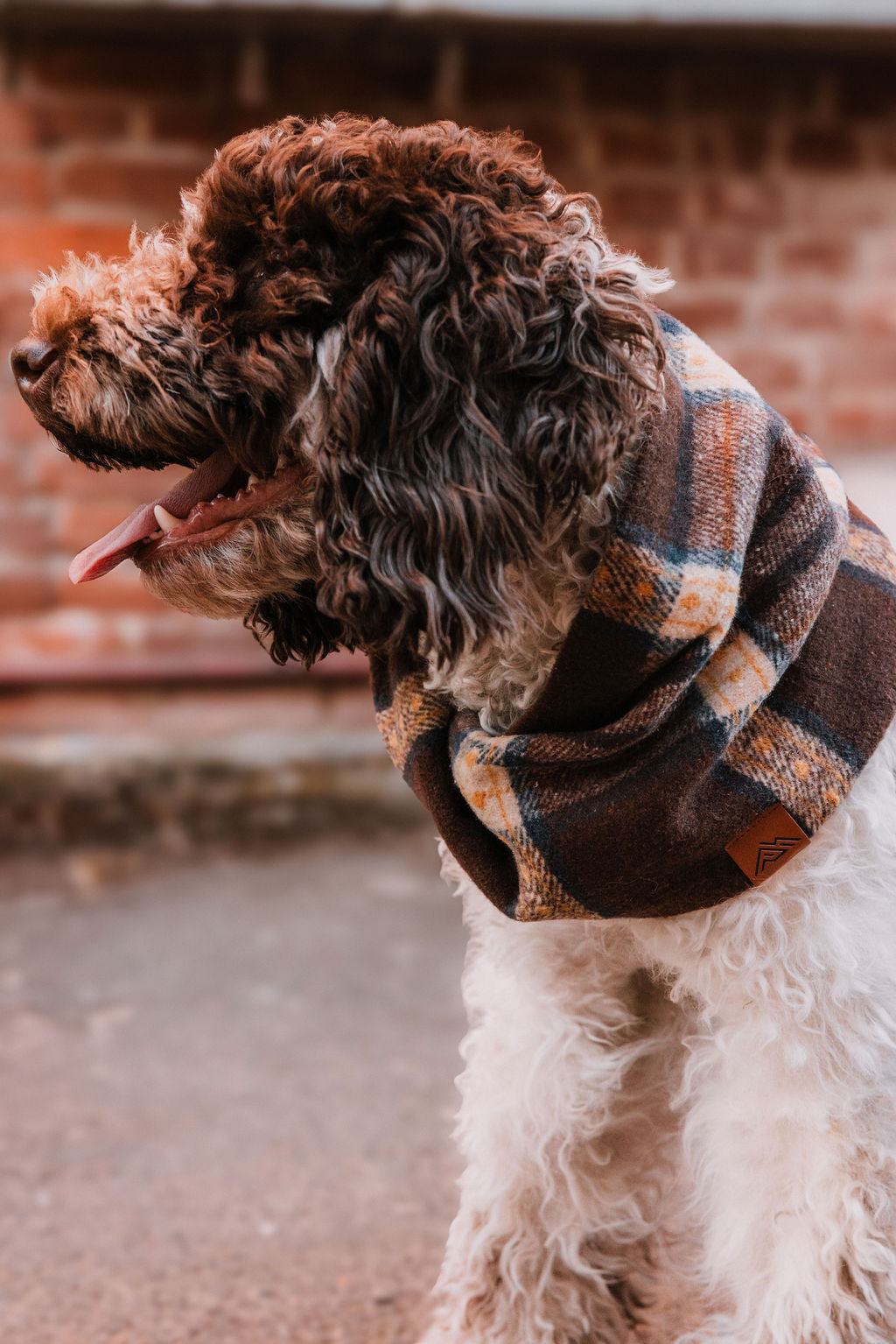 Maple Scarf