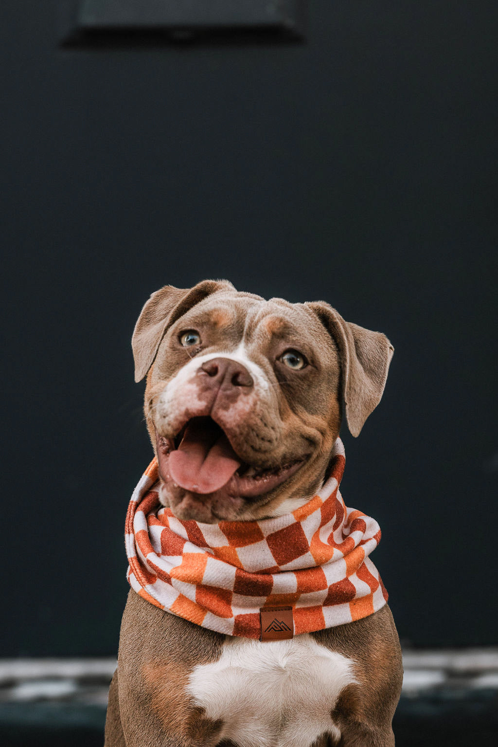 Pumpkin Patch Scarf