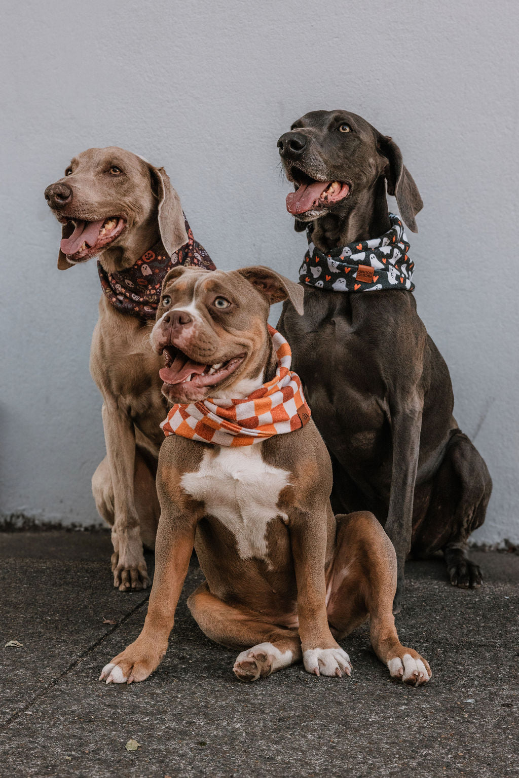 Boo Crew Scarf