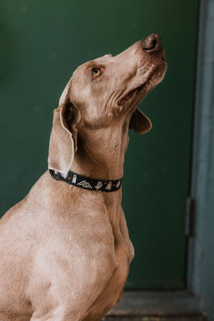 Summit Collar | Boo Crew