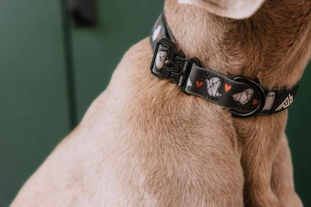 Summit Collar | Boo Crew