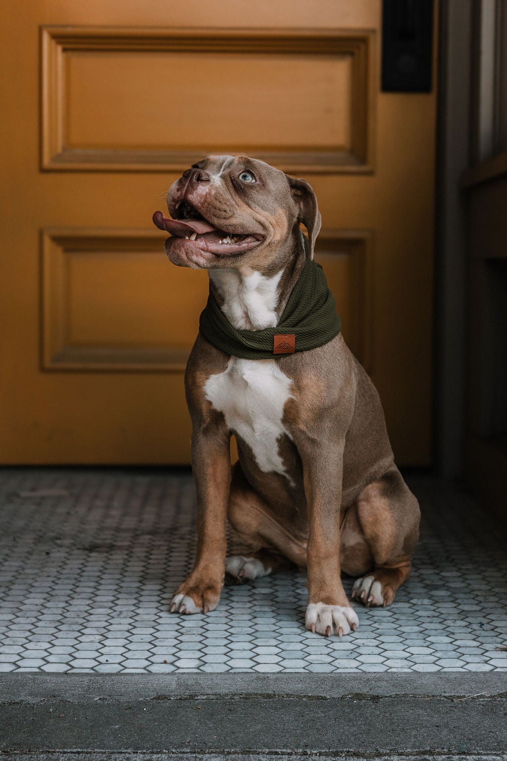 Olive Waffle Scarf