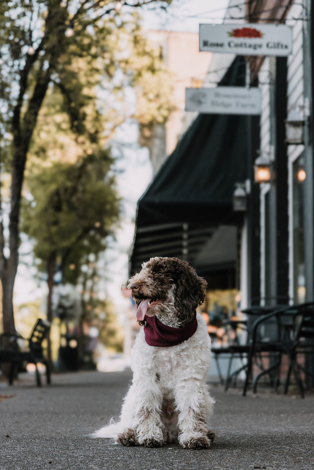 Wine Waffle Scarf