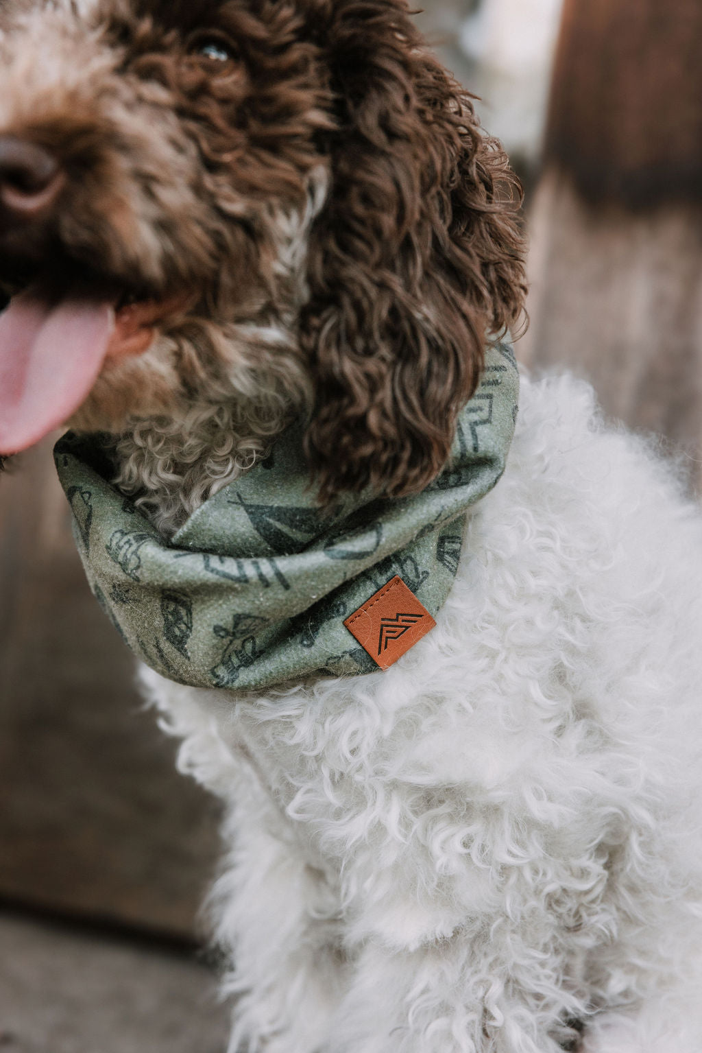 Camp Canine Scarf