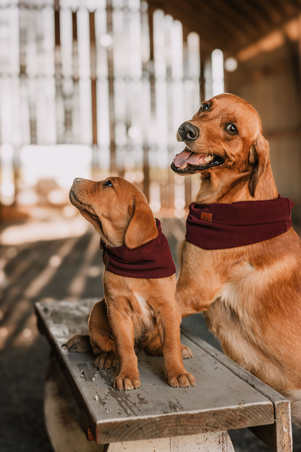 Wine Waffle Scarf