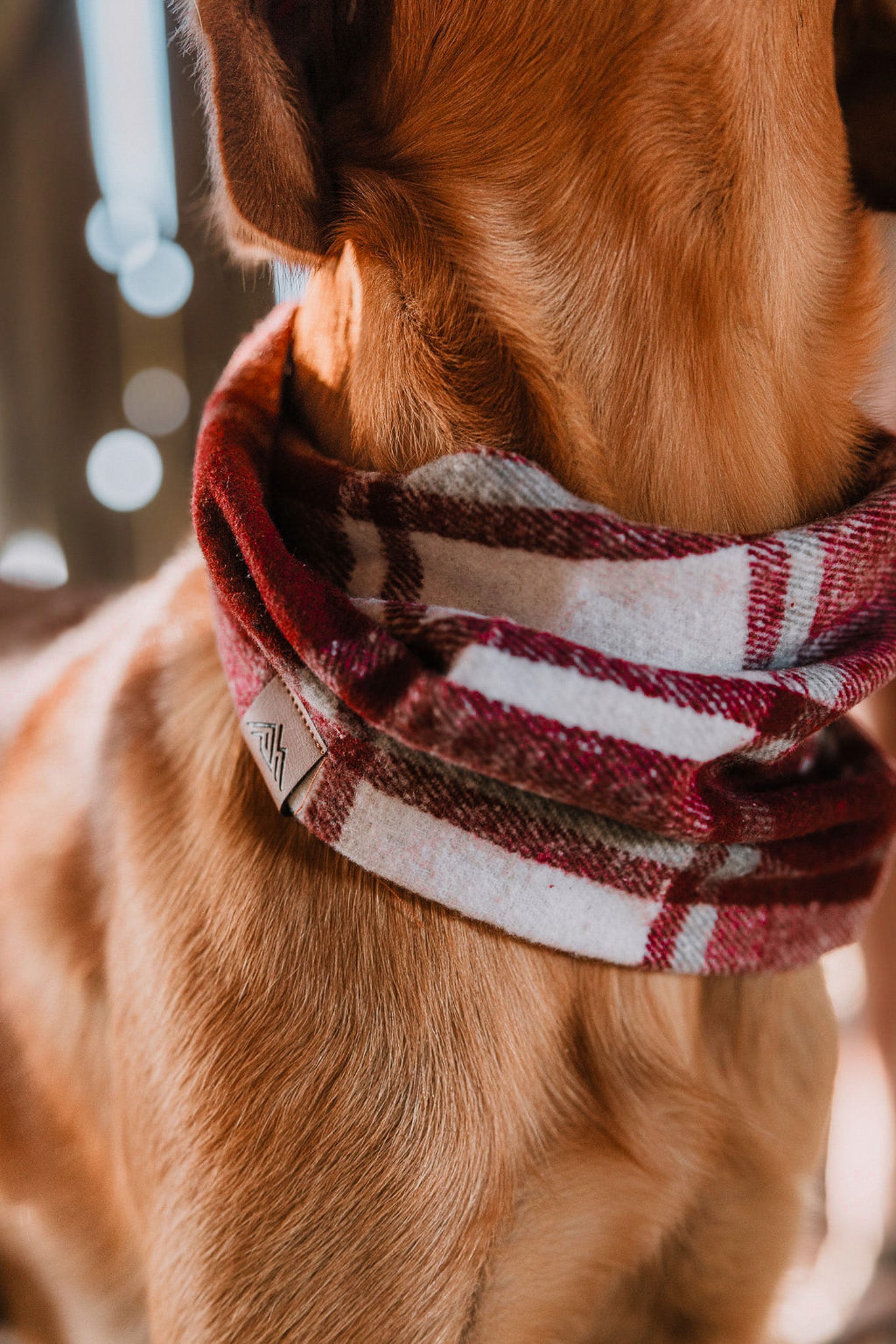 Merlot Scarf