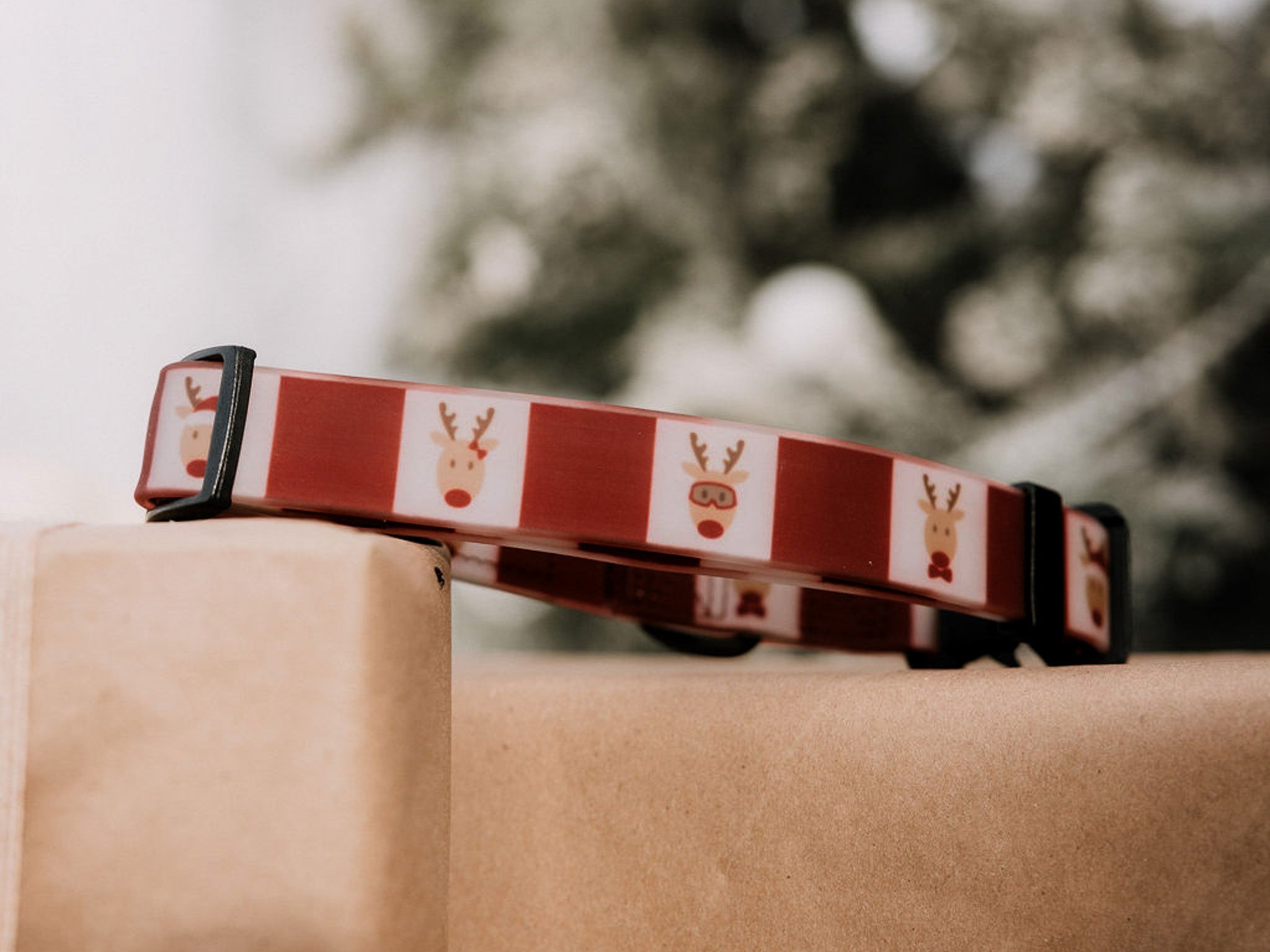 Summit Collar | Oh Deer