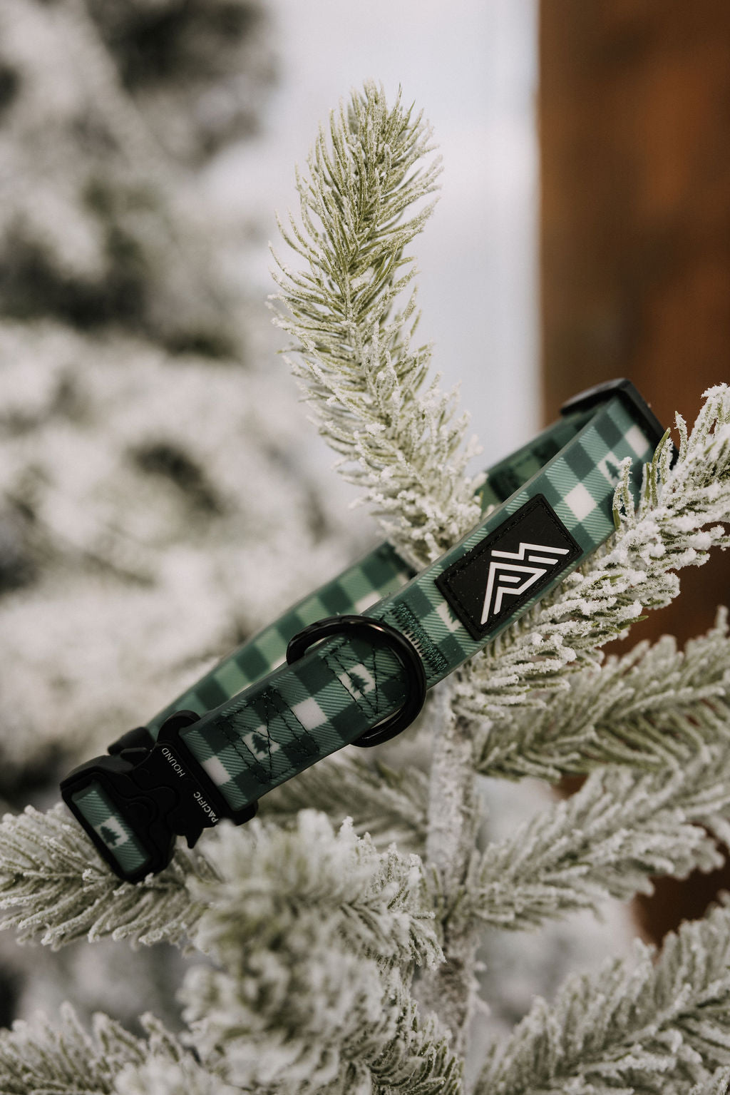 Summit Collar | Northwood