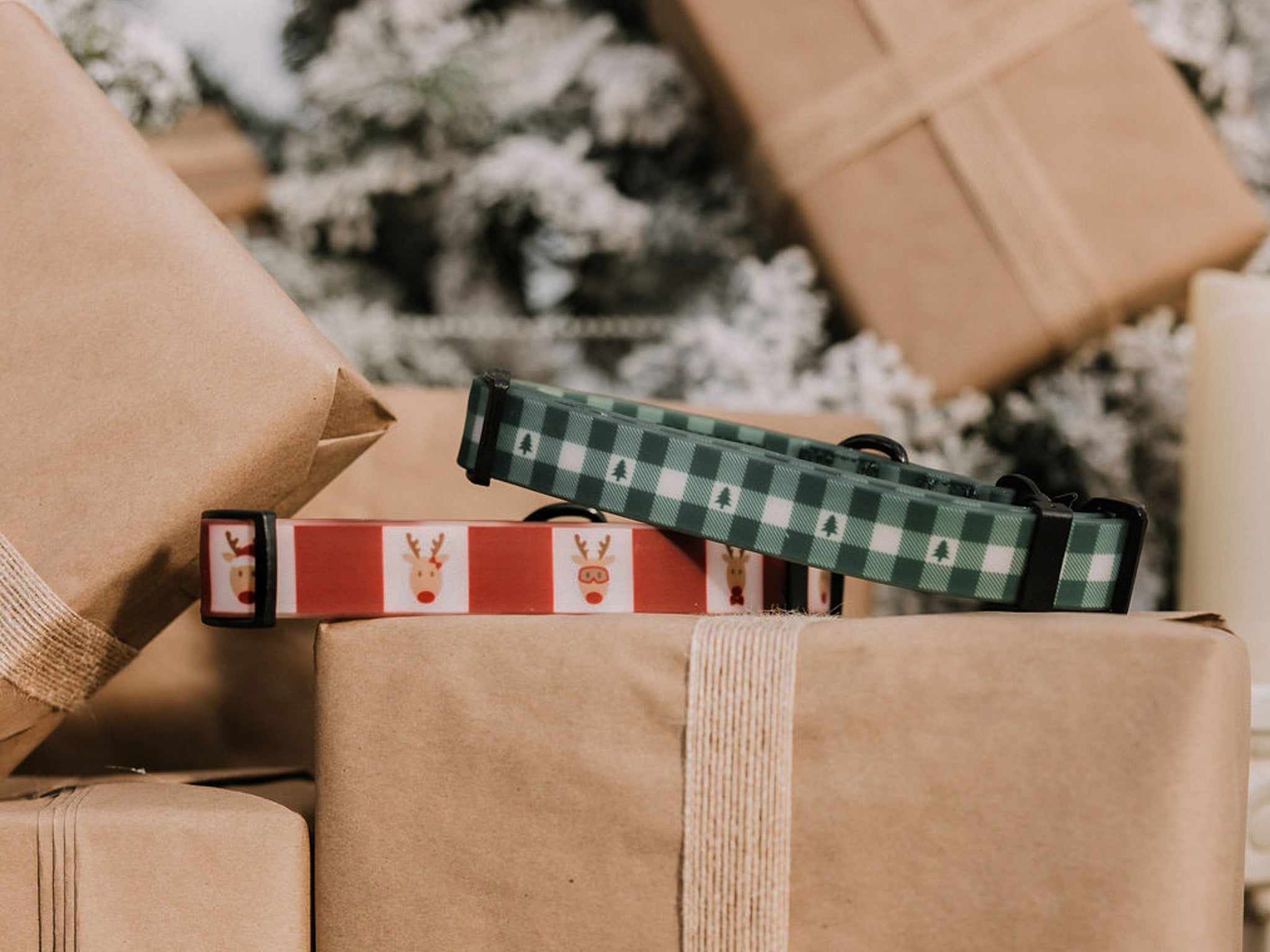 Summit Collar | Oh Deer