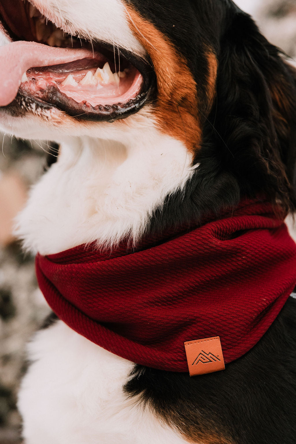 Cranberry Waffle Scarf