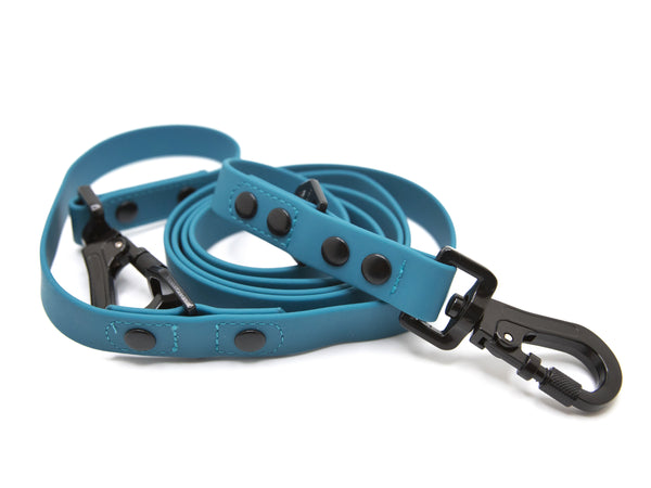 Odyssey Leash | Teal