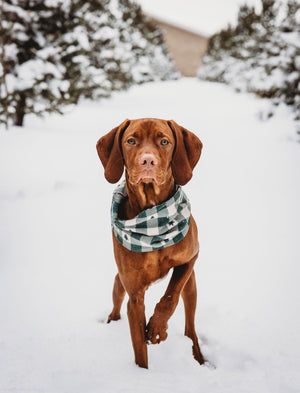 Northwood Scarf