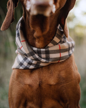 Chestnut Scarf
