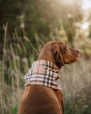 Chestnut Scarf